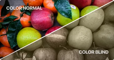 A split screen of fruit with one section that is color normal and the other half color blind.
